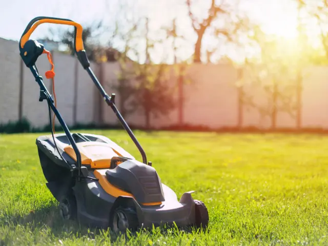 Best Electric Lawn Mowers